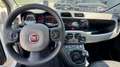 Fiat Panda 1.3 MJT S&S 4x4 Climbing Bianco - thumbnail 12