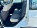 Fiat Panda 1.3 MJT S&S 4x4 Climbing Bianco - thumbnail 9