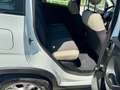 Fiat Panda 1.3 MJT S&S 4x4 Climbing Bianco - thumbnail 10