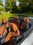 Mercedes-Benz C 43 AMG AMG C 43 Cabrio 4Matic 9G-TRONIC mit AHK Silber - thumbnail 11