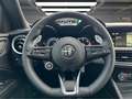 Alfa Romeo Stelvio 2.2 Veloce Q4 210 Aut. Gris - thumbnail 18