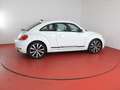 Volkswagen Beetle Sport 2.0 TSI DSG TÜV bis 08.2025 Navi "Fender" Weiß - thumbnail 27