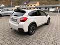 Subaru XV XV 2.0D Comfort Edition 35 Sport mit AHK Blanc - thumbnail 6