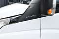 Iveco Daily Pritsche/Kipper 35C15 3,0L L3 Laubgitter Weiß - thumbnail 12