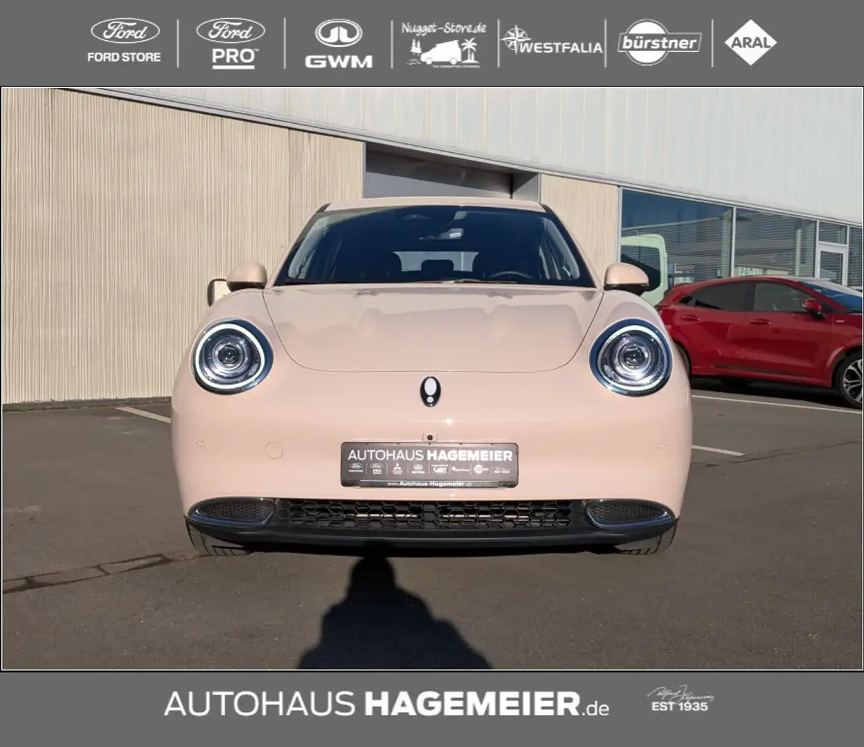 GWM ORA 03 300 Pro Beige - 2