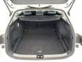 Volkswagen Passat Business 1.5 eTSI 110kW (150CV) DSG Blanco - thumbnail 7
