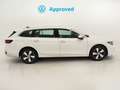 Volkswagen Passat Business 1.5 eTSI 110kW (150CV) DSG Blanco - thumbnail 3