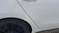 Kia Ceed SW / cee'd SW cee'd SW 1,6 GDI CVVT ISG Motion Pro Motion Pro Weiß - thumbnail 8