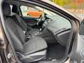 Ford Focus 1.5 TDCI Turnier Business AHK NAVI SHZ GARANTIE Braun - thumbnail 14