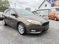 Ford Focus 1.5 TDCI Turnier Business AHK NAVI SHZ GARANTIE Braun - thumbnail 3