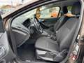 Ford Focus 1.5 TDCI Turnier Business AHK NAVI SHZ GARANTIE Braun - thumbnail 7