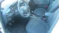 Ford Fiesta Titanium Weiß - thumbnail 12