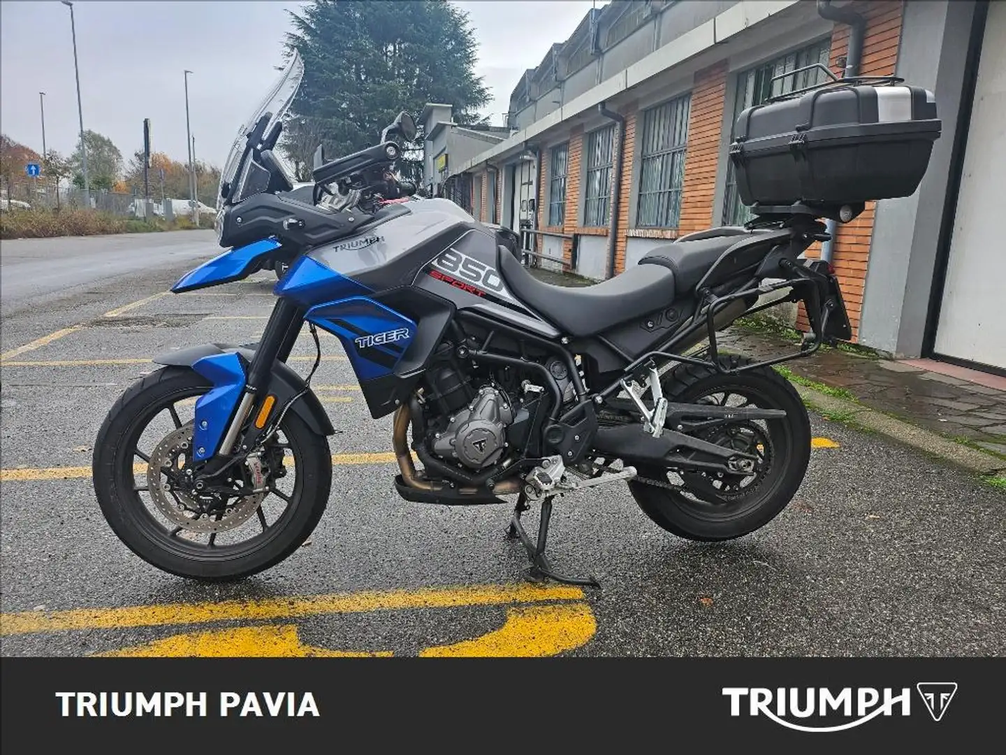 Triumph Tiger Sport Sport Abs Grigio - 1
