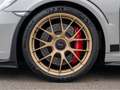 Porsche 991 (991.2) GT3 RS | WEISSACH | MAGNESIUM | LIFT Grau - thumbnail 9