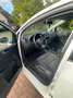 Volkswagen Golf Plus Comfortline / TÜV,Bremsen,Reifen NEU! Weiß - thumbnail 13