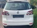 Volkswagen Golf Plus Comfortline / TÜV,Bremsen,Reifen NEU! Weiß - thumbnail 9