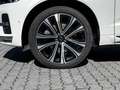 Volvo XC60 EU6d B5 Diesel AWD Ultimate Bright HUD StandHZG El Weiß - thumbnail 4
