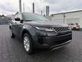 Land Rover Range Rover Evoque D240 S AWD Automatik  EXTRAS! Grau - thumbnail 15