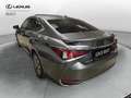Lexus ES 300 ES Hybrid Business Gris - thumbnail 23