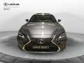Lexus ES 300 ES Hybrid Business Grigio - thumbnail 5