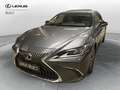 Lexus ES 300 ES Hybrid Business Grigio - thumbnail 1