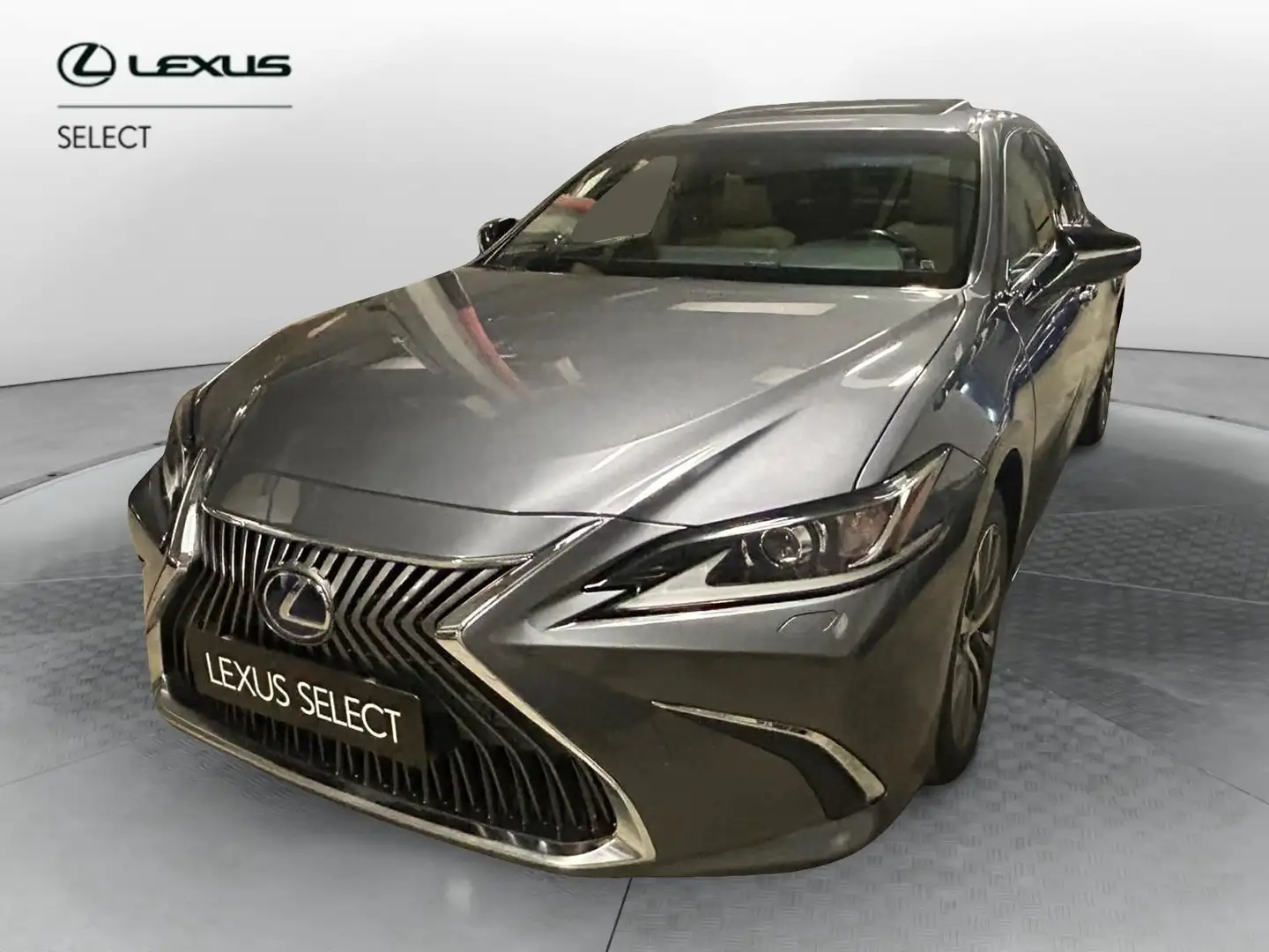 Lexus ES 300 ES Hybrid Business Grigio - 1