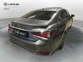 Lexus ES 300 ES Hybrid Business Gris - thumbnail 21