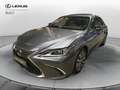 Lexus ES 300 ES Hybrid Business Gris - thumbnail 24