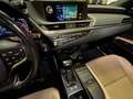 Lexus ES 300 ES Hybrid Business Gris - thumbnail 16