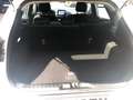 Ford Puma Titanium 1,0l EcoBoost Mild-Hybrid LED Apple CarPl Bianco - thumbnail 12