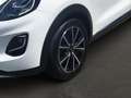 Ford Puma Titanium 1,0l EcoBoost Mild-Hybrid LED Apple CarPl Bianco - thumbnail 6