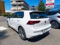 Volkswagen Golf Golf 2.0 TDI Style 115cv DOPPIO TRENO GOMME+CERCHI Wit - thumbnail 7