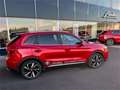 MG ZS HEV+ Luxury - Winterräder Kostenlos Rood - thumbnail 3