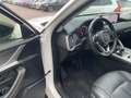 Mazda CX-60 2,5 Homura PHEV AWD AHK ACC HUD 360° Bianco - thumbnail 15