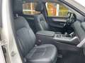 Mazda CX-60 2,5 Homura PHEV AWD AHK ACC HUD 360° Blanc - thumbnail 17