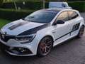 Renault Megane Megane TCe 300 GPF EDCR.S. TROPHY White - thumbnail 9