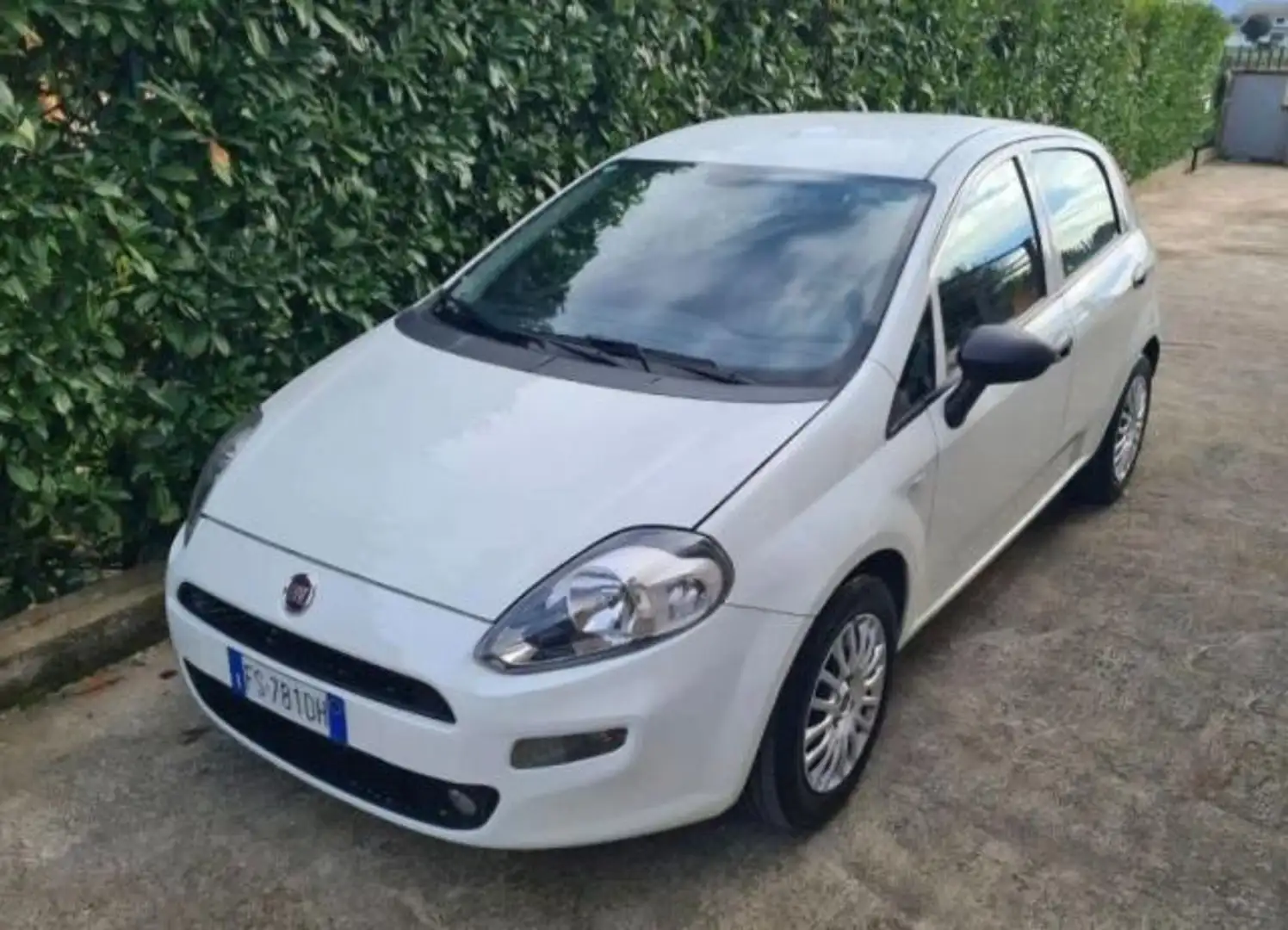Fiat Punto 1.3 MJT II S&S 95 CV 5p. Street Blanc - 1