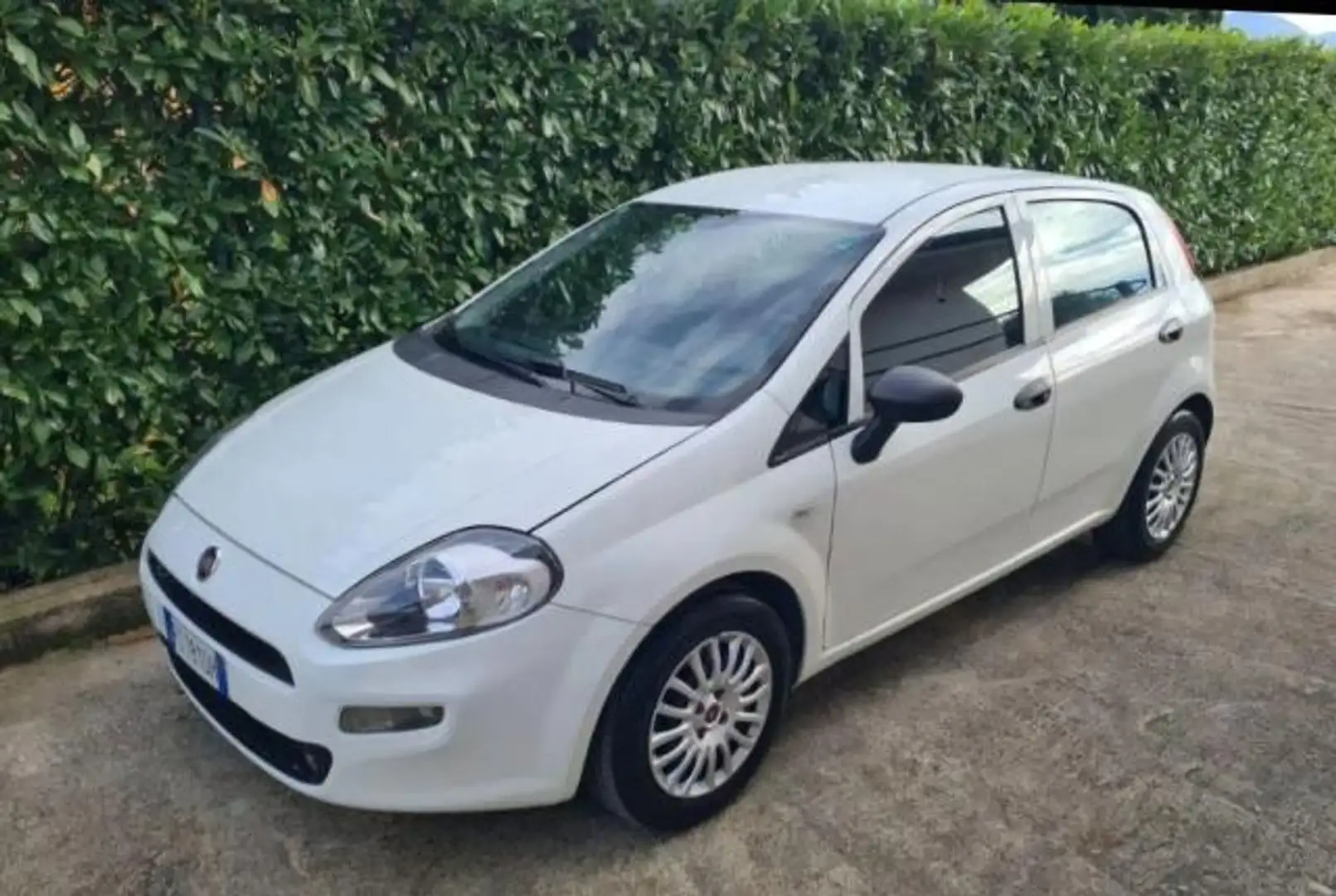 Fiat Punto 1.3 MJT II S&S 95 CV 5p. Street Blanc - 2