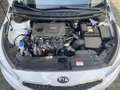 Kia Ceed SW / cee'd SW 1.6 GDI DCT Platinum Edition Klima/Navi/UNFALLFREI Blanc - thumbnail 9
