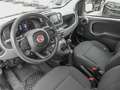 Fiat Panda Mild Hybrid City Paket  Gelato Weiß Weiß - thumbnail 3