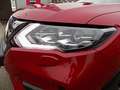 Nissan X-Trail N-Design 1.3 DIG-T 160 PS DCT 8-fach N.Design Rot - thumbnail 8