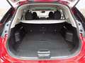 Nissan X-Trail N-Design 1.3 DIG-T 160 PS DCT 8-fach N.Design Rot - thumbnail 10