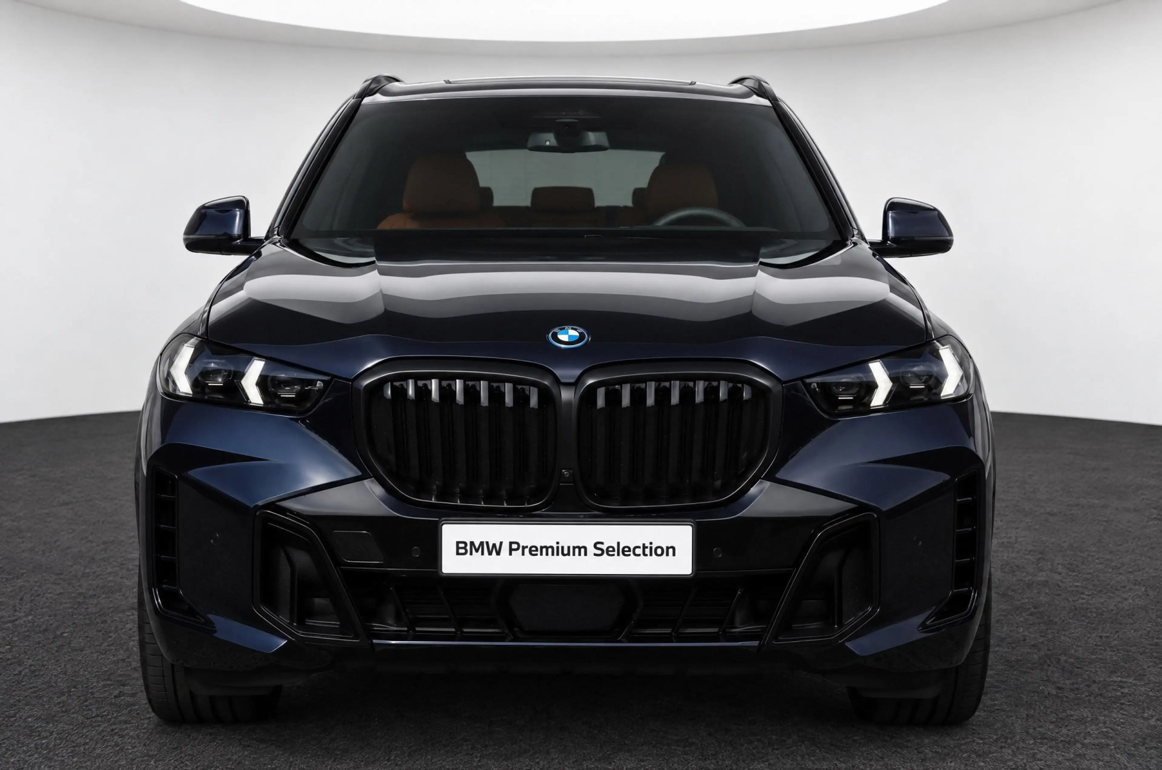 BMW X5 xDrive50e M Sport Automaat / Panoramadak / Trekhaa — photo 6