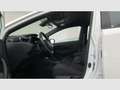 Toyota Corolla 1.8 125H BUSINESS E-CVT TOU SPORT Weiß - thumbnail 12