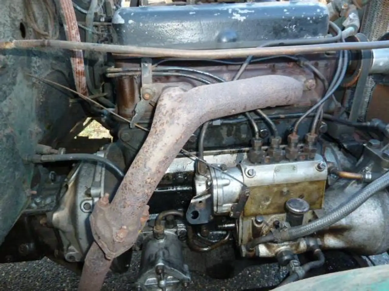 Jeep Willys M38A1, foto 6