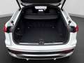Audi Q5 TDI Q S LINE NAVI 360° BuO LM20 Weiß - thumbnail 18