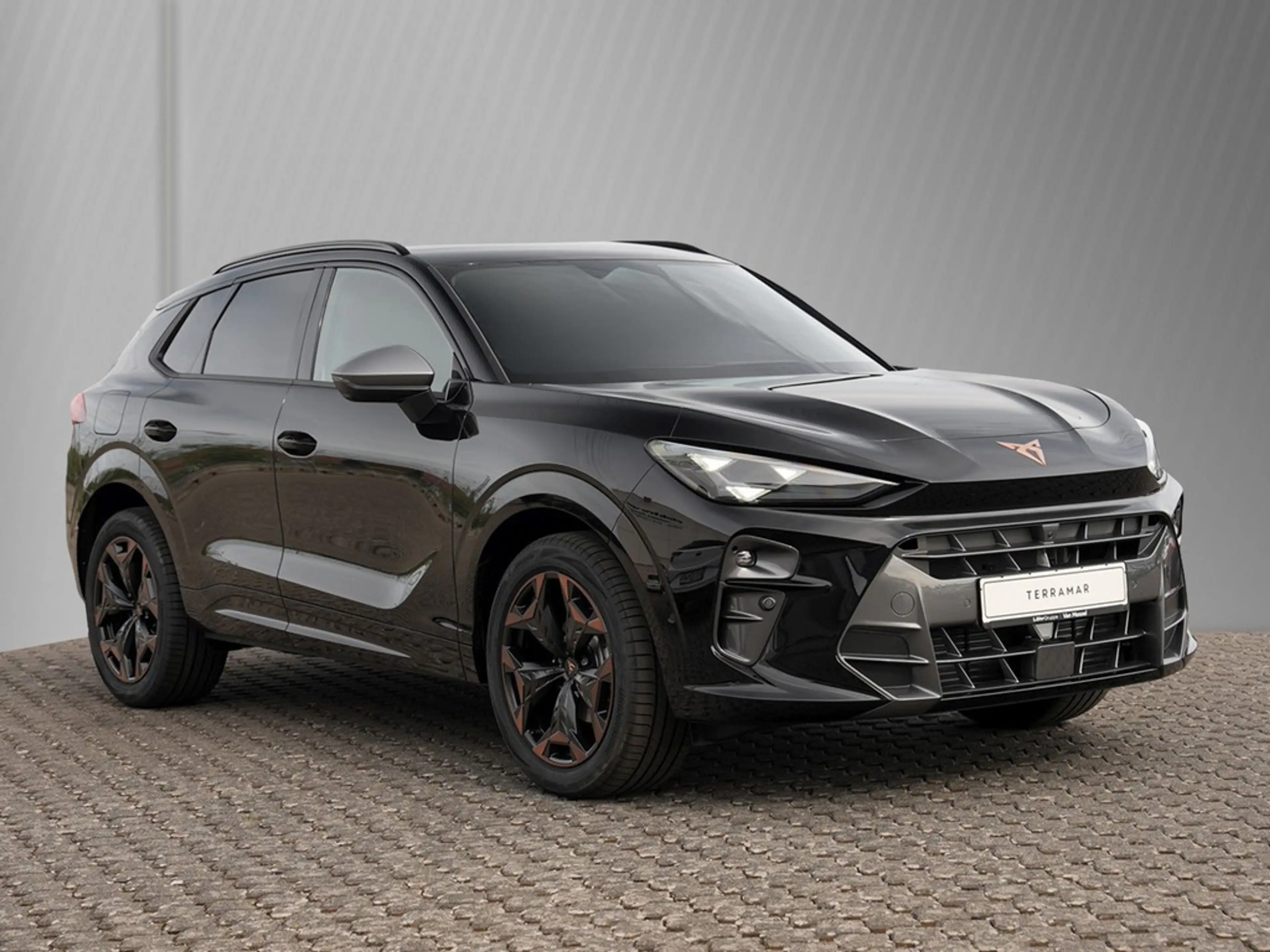 CUPRA Terramar 1.5 eTSI 110kW/150PS 7-Gang-DSG — photo 3