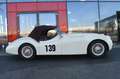 Jaguar XK 120 OTS Beige - thumbnail 5