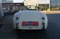Jaguar XK 120 OTS Beige - thumbnail 8