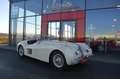 Jaguar XK 120 OTS Beige - thumbnail 17